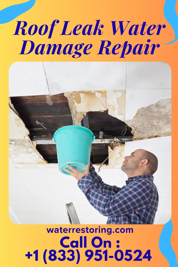 Roof Leak Water Damage Repair in Home, WA